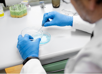 Как стать донором яйцеклетки?