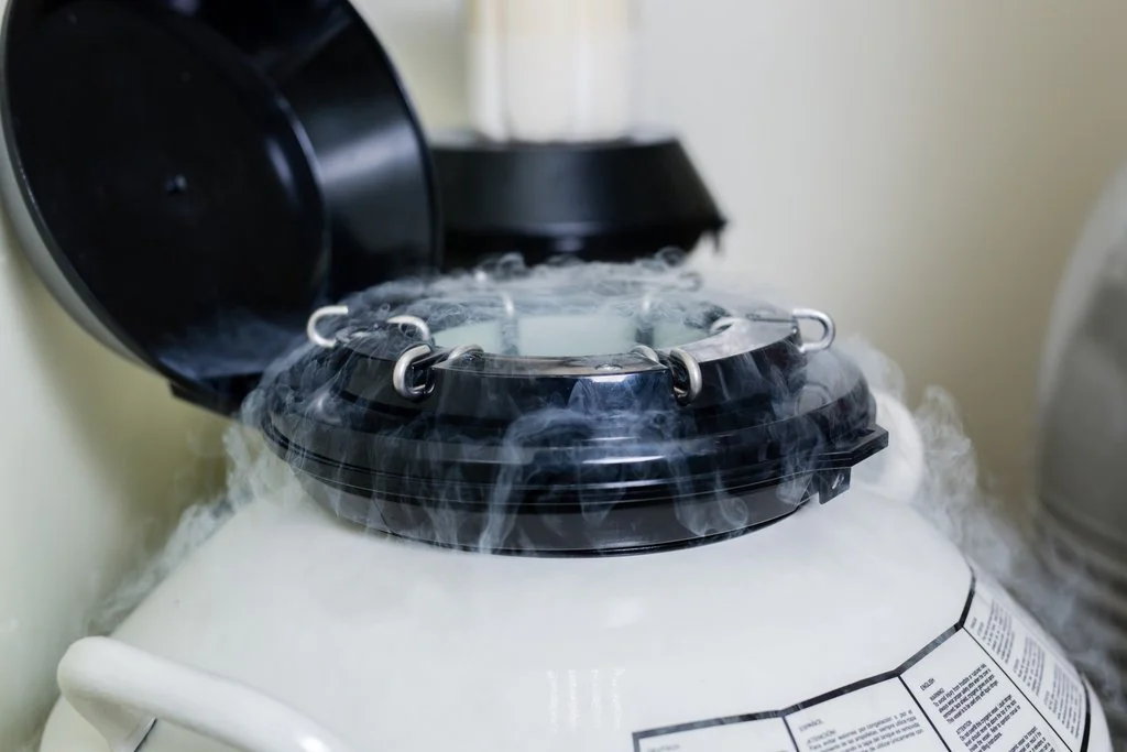 Береги половые клетки смолоду или специалистам каких профессий стоит задуматься о профилактической криоконсервации яйцеклеток и спермы?